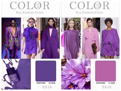 紫色搭配顏色
